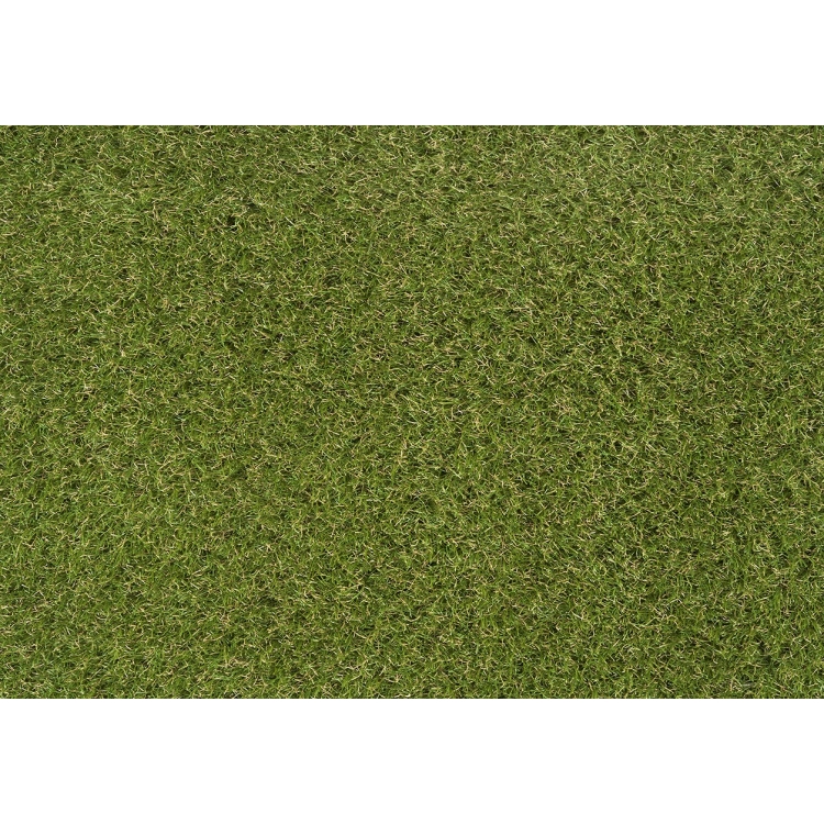 LIBARNA 255